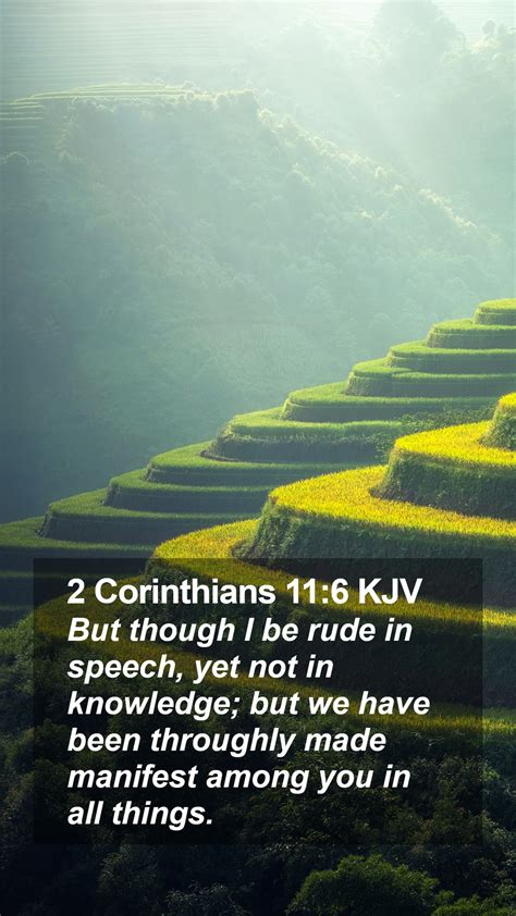 2 cor 11 kjv - 2 Corinthians 4King James Version. 4 Therefore seeing we have this ministry, as we have received mercy, we faint not; 2 But have renounced the hidden things of dishonesty, not walking in craftiness, nor handling the word of God deceitfully; but by manifestation of the truth commending ourselves to every man's conscience in the sight of God.